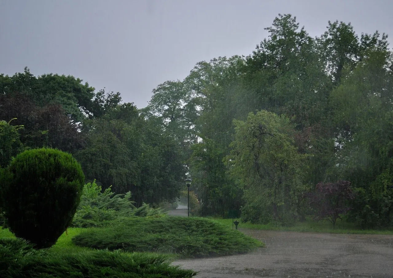 Rain