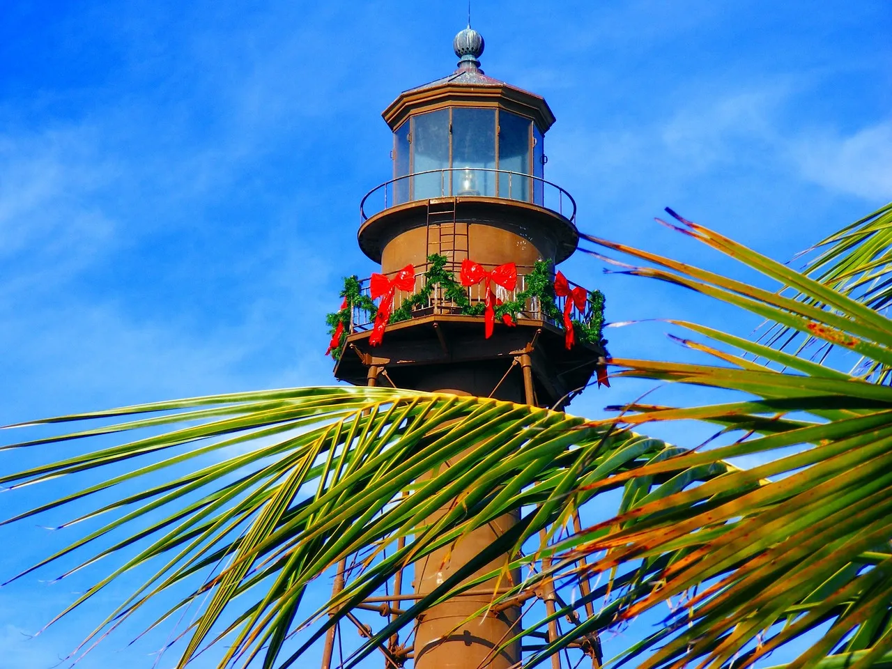 Beating the odds on Sanibel Island!