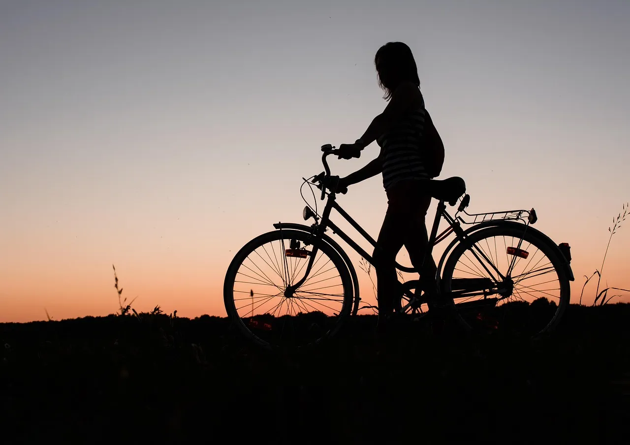bike break