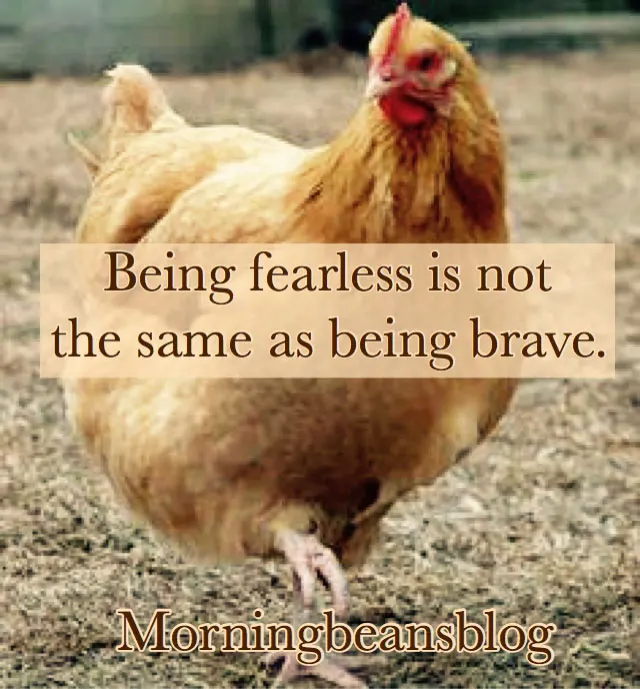 Brave Little Chicken