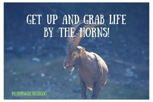 grab-your-horns