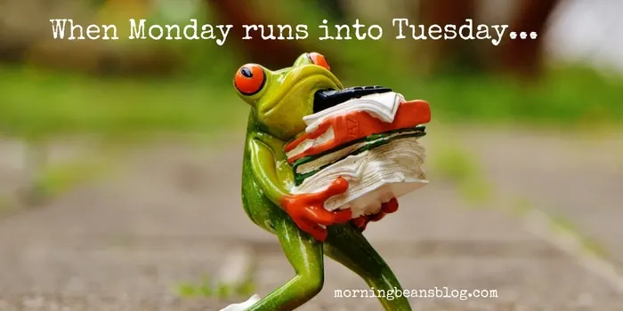 photo courtesy of pixabay.com